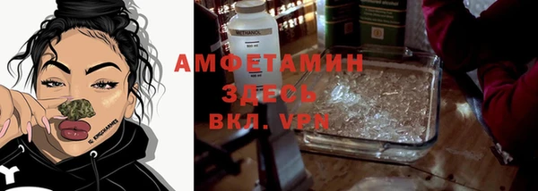 молекула духа Ельня