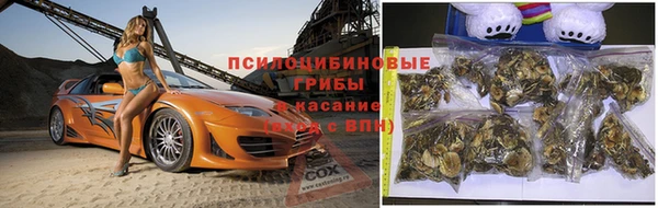 apvp Заволжск