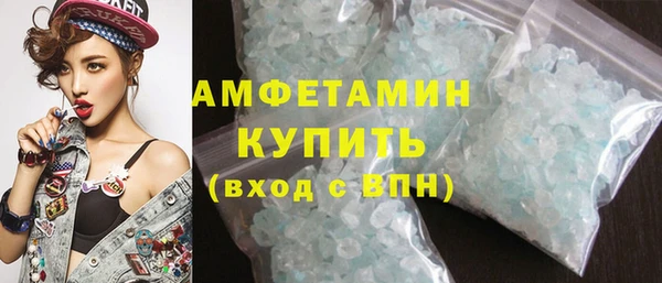 молекула духа Ельня