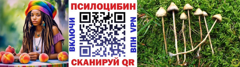 цены   Красноперекопск  Галлюциногенные грибы GOLDEN TEACHER 