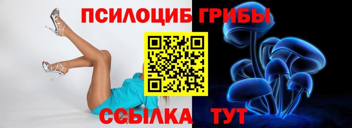 где купить   Галлюциногенные грибы мухоморы  Вход с VPN  Красноперекопск 